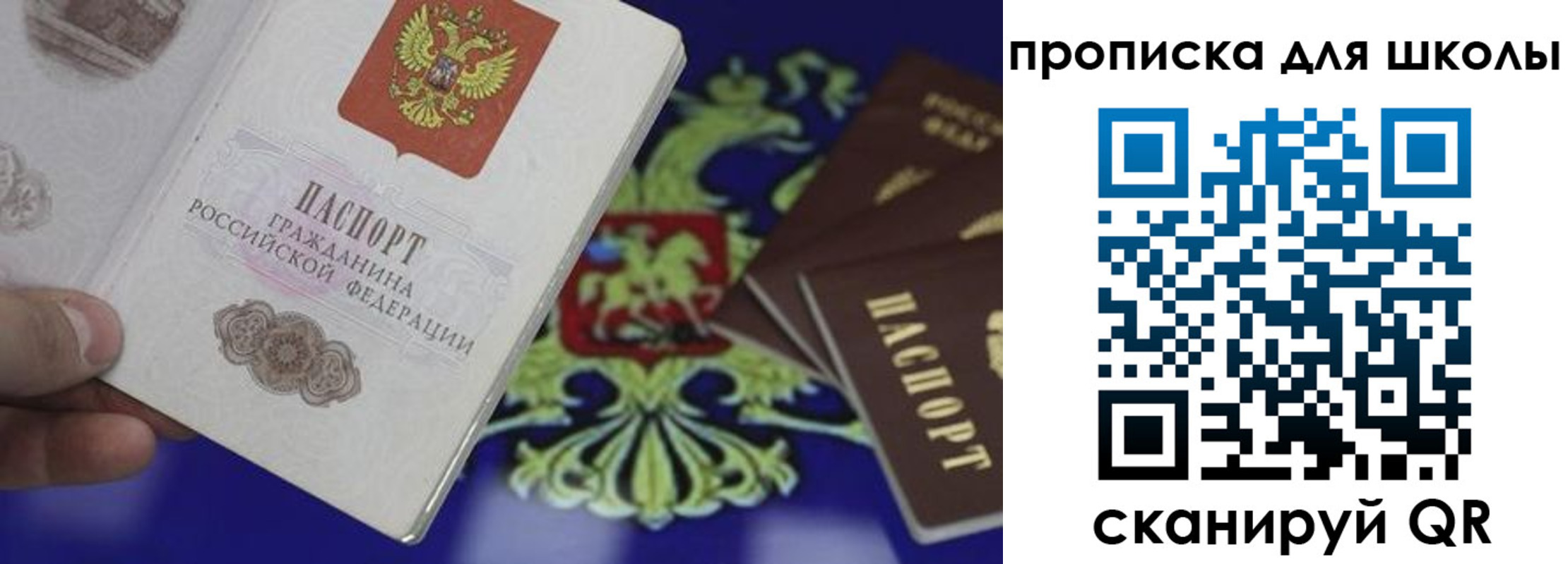 прописка паспорт в Балтийске